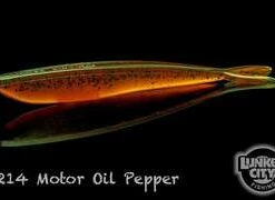 Lunker City Soft Baits Fin-S Fish 4