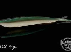 Lunker City Soft Baits Fin-S Fish 4