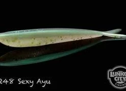 Lunker City Soft Baits Fin-S Fish 4