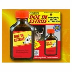 Sports Specialist Hunting Wildlife Research Doe In Estrus