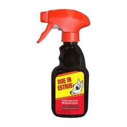 Sports Specialist Hunting Wildlife Research Doe In Estrus