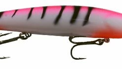 Warrior Custom Bandits