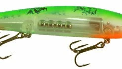 Warrior Custom Bandits