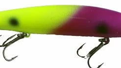 Warrior Custom Bandits