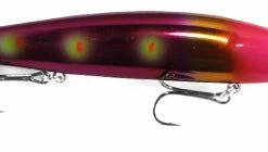 Warrior Custom Bandits