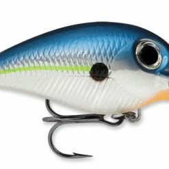 STORM Wiggle Wart - Mad Flash Series