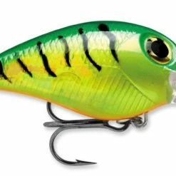 STORM Wiggle Wart - Mad Flash Series