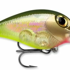 STORM Wiggle Wart - Mad Flash Series