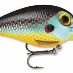 STORM Wiggle Wart - Mad Flash Series