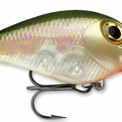 STORM Wiggle Wart - Mad Flash Series