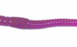 Bulk Wyandotte Worm