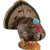 Rinehart Woodland Strutting Turkey Hunting