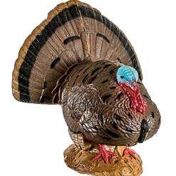 Rinehart Woodland Strutting Turkey Hunting