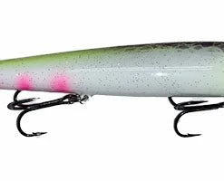 Domka Outdoors Custom Painted Perfect 10 Smithwick