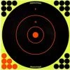 Kinsey's Birchwood Shoot-N-C Target Bullseye 12in. 5pk Archery Tools