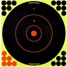 Kinsey's Birchwood Shoot-N-C Target Bullseye 12in. 5pk Archery Tools