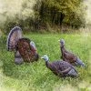 Rinehart Turkey Decoy Hunting
