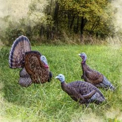 Rinehart Turkey Decoy Hunting