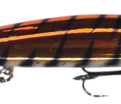 Warrior Custom Bandits