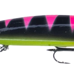 Warrior Custom Bandits