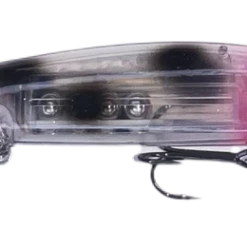 Warrior Custom Bandits