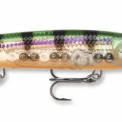 Sports Specialists Rapala Deep Husky Jerk