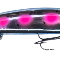 Warrior Custom Bandits