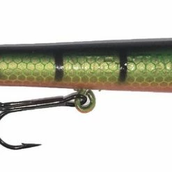 Grapentin Nite Stalker Pencil Plugs