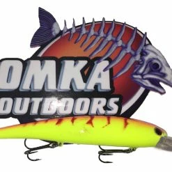 Custom Electric Chicken Bandit