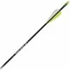 Carbon Express Thunder Express 28" Arrows