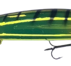 Warrior Custom Bandits