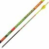 Black Eagle Arrows Zombie Slayer Premium Hunting Arrow