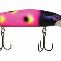 Warrior Custom Bandits