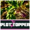 Real World Wildlife Products Plot Topper