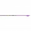 Kinsey GOLD TIP TED NUGENT ARROWS PURPLE RAPTOR VANES 6 PK