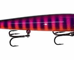 Domka Outdoors Custom Painted Perfect 10 Smithwick